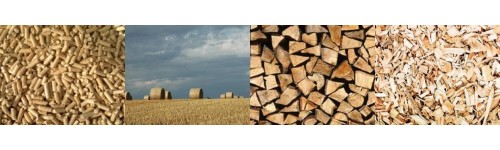 Calderas de biomasa